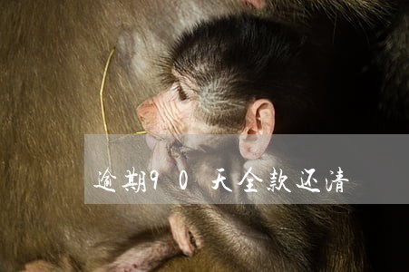 逾期90天全款还清 逾期90天全款还清