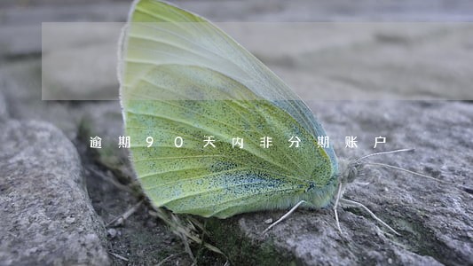 逾期90天内非分期账户 逾期90天内非分期账户