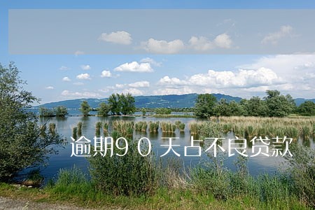 逾期90天占不良贷款 逾期90天占不良贷款
