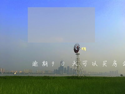 逾期90天可以买房么 逾期90天可以买房么