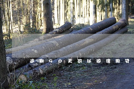 逾期90天可以做信用贷款嘛 逾期90天可以做信用贷款嘛