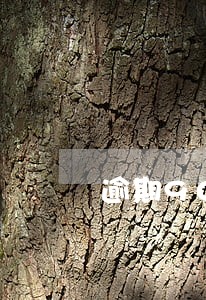 逾期90天后冲还本金的规定