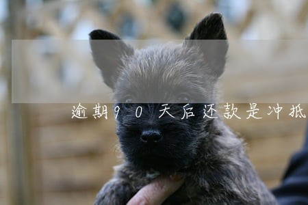 逾期90天后还款是冲抵本金吗 逾期90天后还款是冲抵本金吗
