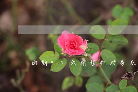 逾期90天增值税财务处理 逾期90天增值税财务处理