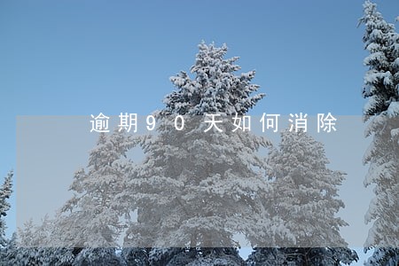 逾期90天如何消除