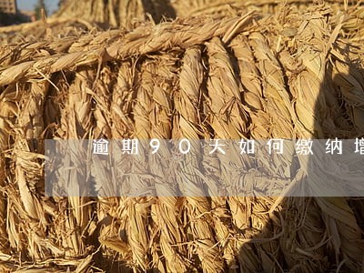 逾期90天如何缴纳增值税 逾期90天如何缴纳增值税
