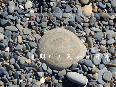 逾期90天如何计算 逾期90天如何计算