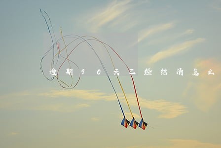 逾期90天已经结清怎么消除 逾期90天已经结清怎么消除