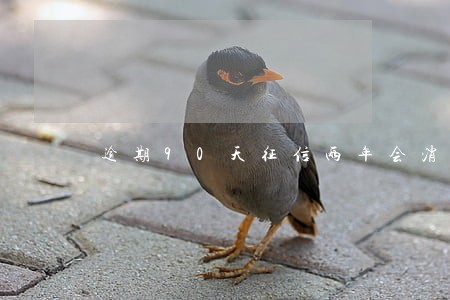逾期90天征信两年会消除吗 逾期90天征信两年会消除吗