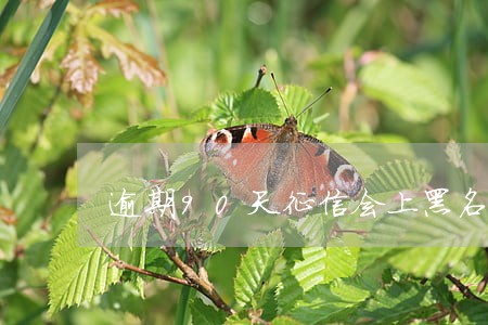 逾期90天征信会上黑名单吗 逾期90天征信会上黑名单吗