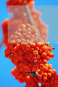逾期90天征信能不能撤销 逾期90天征信能不能撤销
