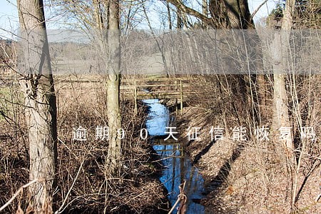 逾期90天征信能恢复吗 逾期90天征信能恢复吗