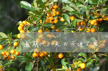 逾期90天必须进不良 逾期90天必须进不良