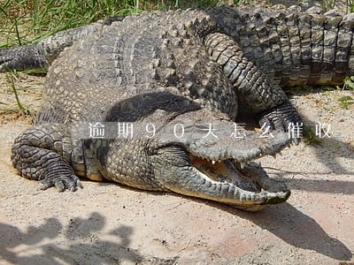 逾期90天怎么催收 逾期90天怎么催收