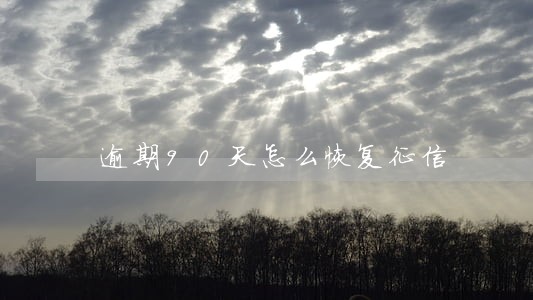 逾期90天怎么恢复征信 逾期90天怎么恢复征信