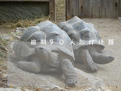 逾期90天怎样计算 逾期90天怎样计算