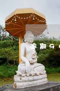 逾期90天房产公司会收楼吗 逾期90天房产公司会收楼吗