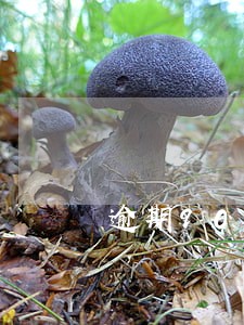 逾期90天才会上征信 逾期90天才会上征信