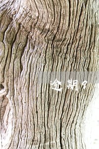 逾期90天是指三个账单没还吗 逾期90天是指三个账单没还吗