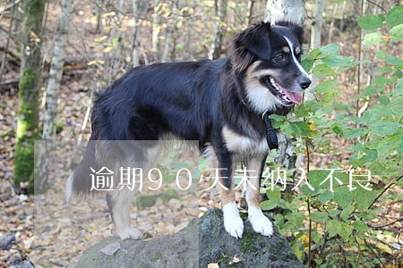 逾期90天未纳入不良 逾期90天未纳入不良