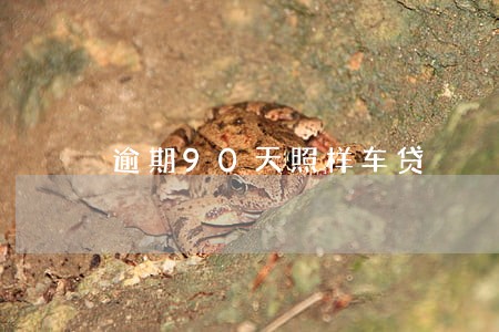 逾期90天照样车贷 逾期90天照样车贷