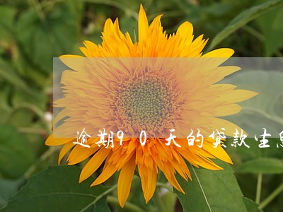 逾期90天的贷款生息资产 逾期90天的贷款生息资产