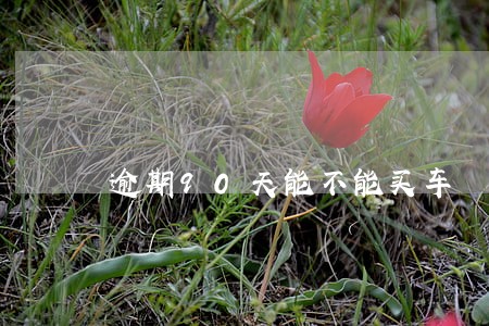 逾期90天能不能买车 逾期90天能不能买车