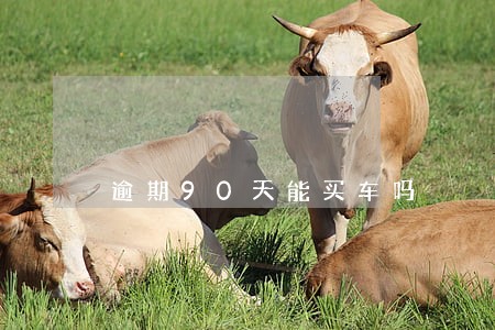 逾期90天能买车吗 逾期90天能买车吗
