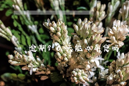逾期90天能办车贷吗 逾期90天能办车贷吗