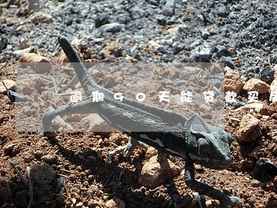 逾期90天能贷款买房吗
