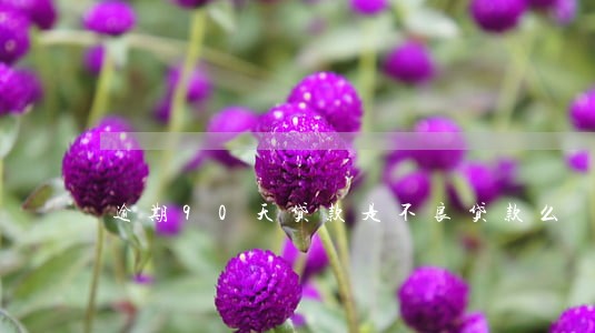逾期90天贷款是不良贷款么 逾期90天贷款是不良贷款么