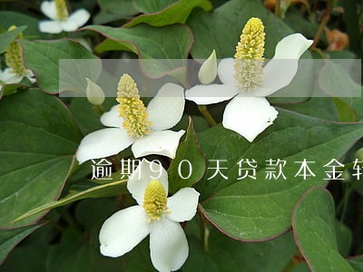 逾期90天贷款本金转表外吗 逾期90天贷款本金转表外吗