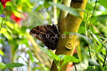 逾期90天贷款转入非应计 逾期90天贷款转入非应计