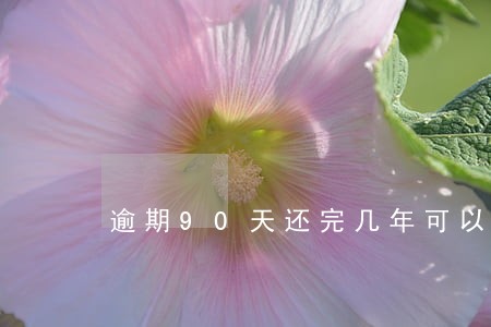 逾期90天还完几年可以恢复正常 逾期90天还完几年可以恢复正常