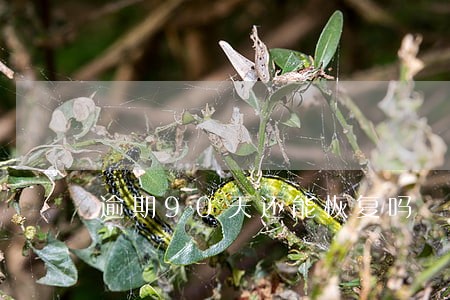 逾期90天还能恢复吗 逾期90天还能恢复吗