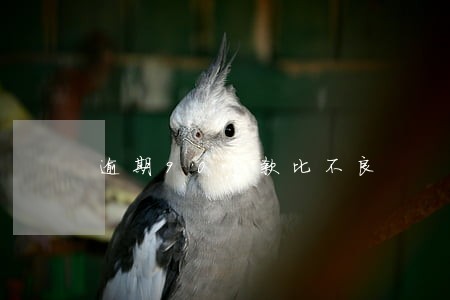 逾期90贷款比不良 逾期90贷款比不良