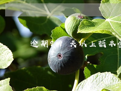 逾期91天以上抵本金 逾期91天以上抵本金