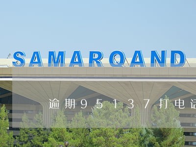 逾期95137打电话来