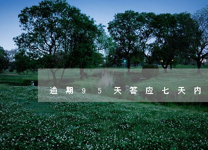 逾期95天答应七天内还清