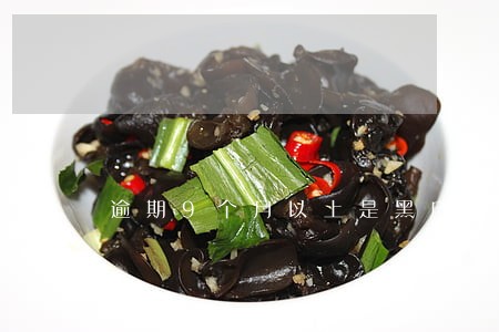 逾期9个月以上是黑户吗 逾期9个月以上是黑户吗