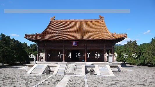 逾期9个月还了能办车贷吗