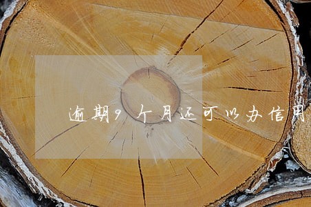 逾期9个月还可以办信用卡吗 逾期9个月还可以办信用卡吗