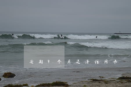 逾期9个月还清信用卡 逾期9个月还清信用卡