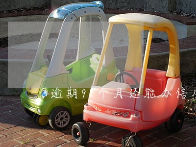 逾期9个月还能办信用卡吗
