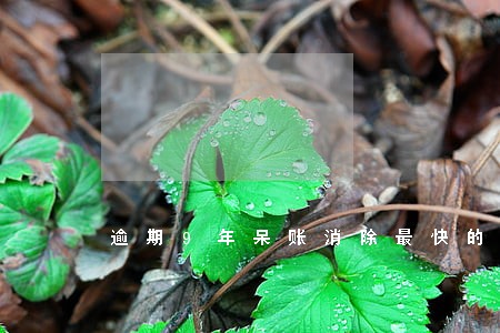 逾期9年呆账消除最快的办法 逾期9年呆账消除最快的办法