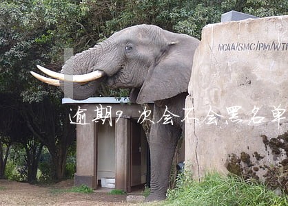 逾期9次会不会黑名单