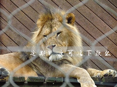 逾期9次可以下款么 逾期9次可以下款么