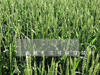 逾期9次可以贷款吗 逾期9次可以贷款吗