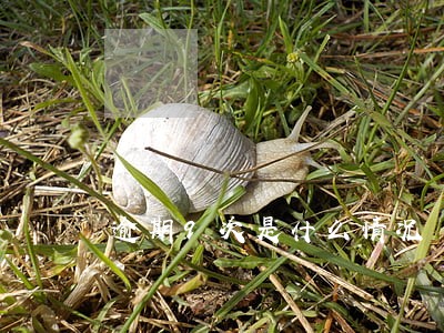 逾期9次是什么情况 逾期9次是什么情况