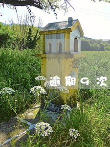 逾期9次的话可以公积金贷款吗 逾期9次的话可以公积金贷款吗